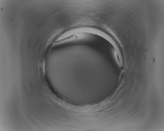 X0000076390019200610271604