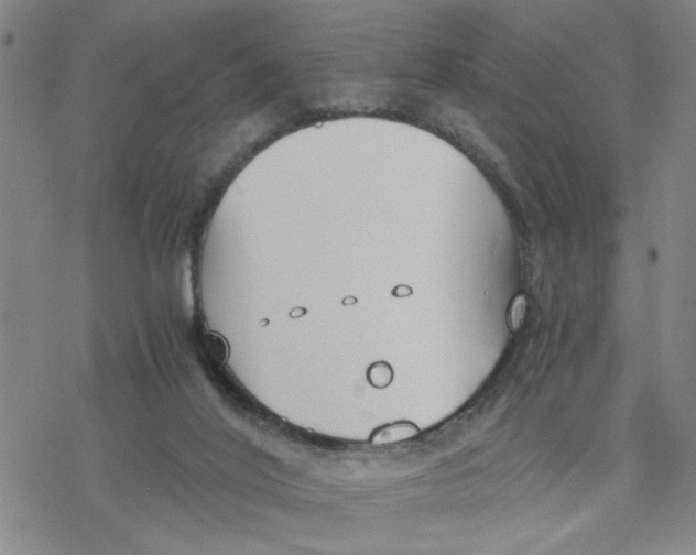 X0000076390020200610271604