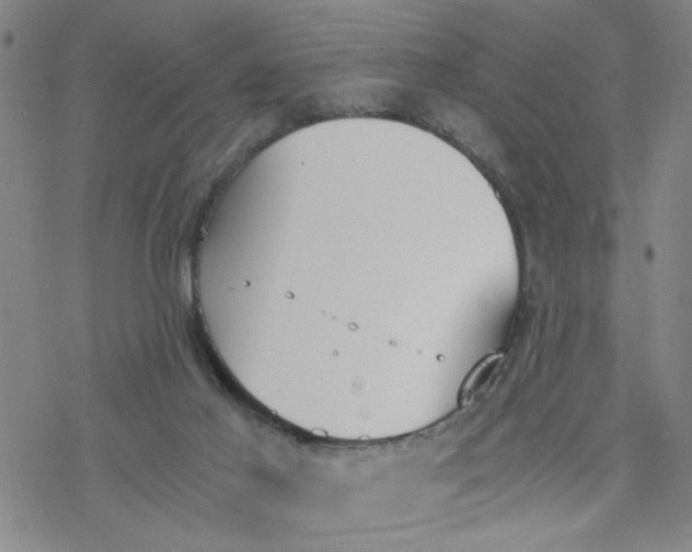 X0000076390021200610271604