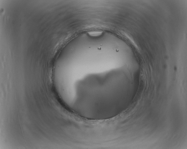 X0000076390023200610271604