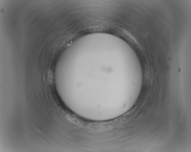 X0000076390025200610271604