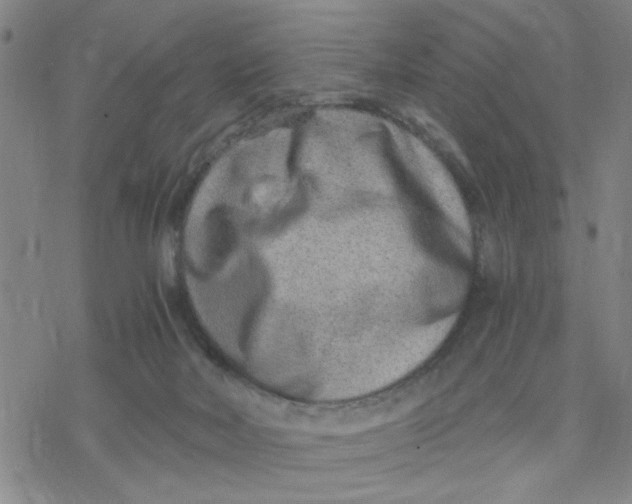 X0000076390026200610271604