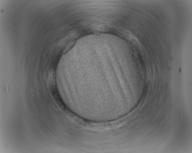 X0000076390029200610271604