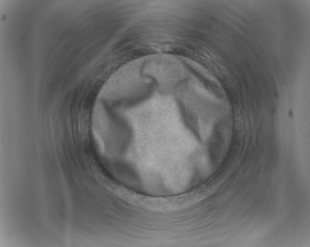 X0000076390030200610271604