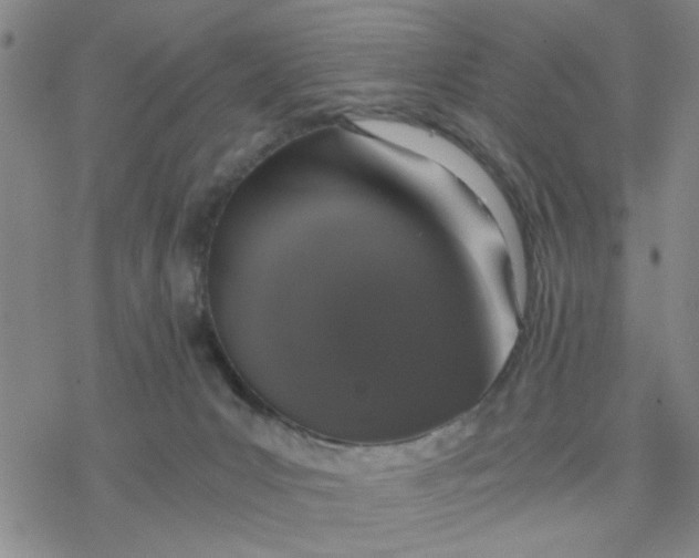 X0000076390031200610271604