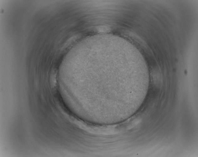 X0000076390032200610271604