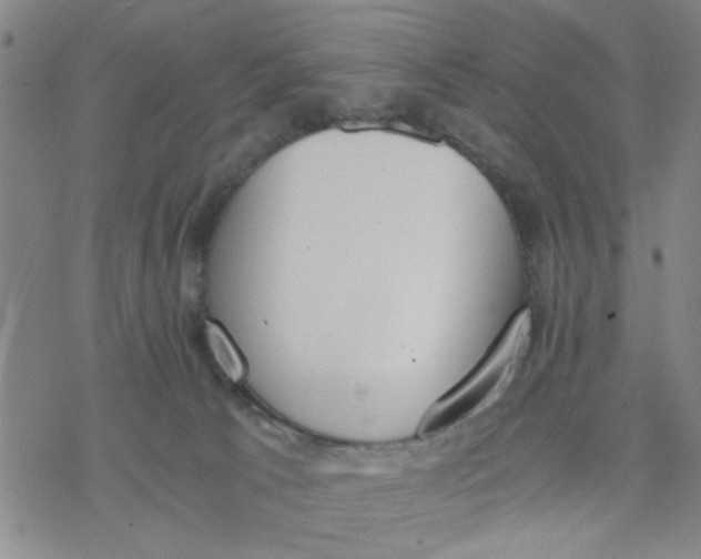 X0000076390033200610271604