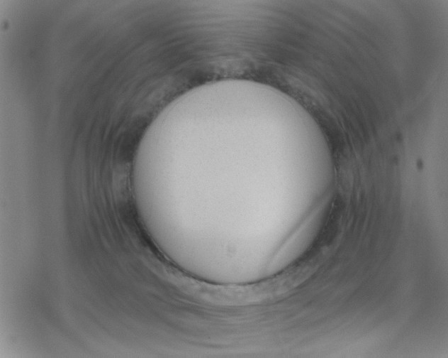 X0000076390034200610271604