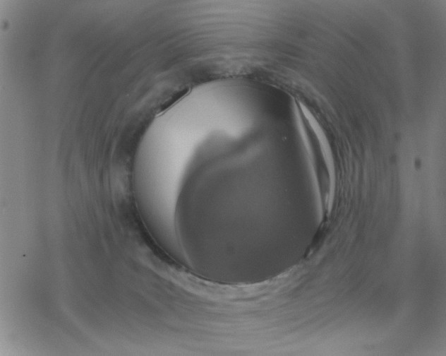 X0000076390035200610271604