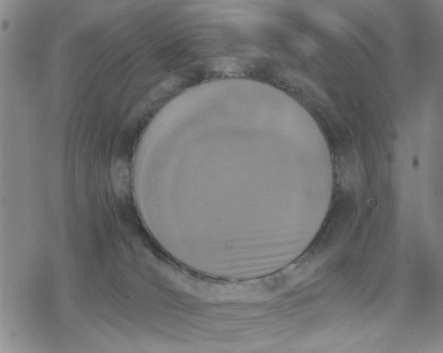 X0000076390036200610271604