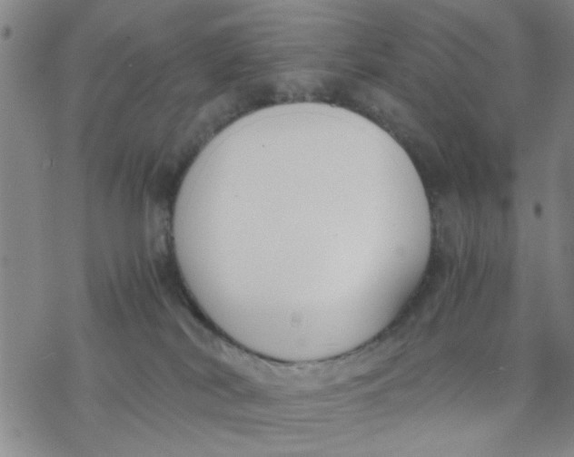 X0000076390038200610271604