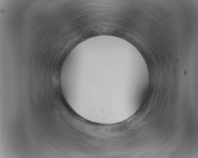 X0000076390040200610271604