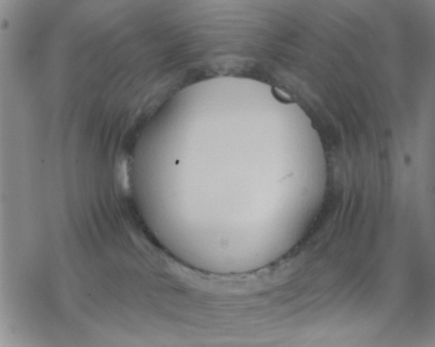 X0000076390042200610271604