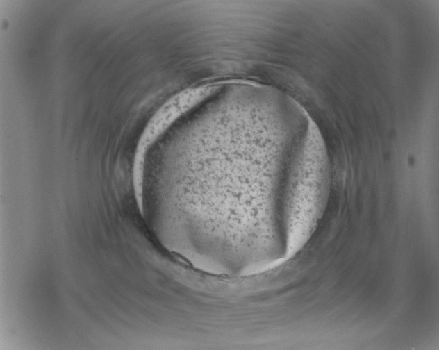 X0000076390043200610271604