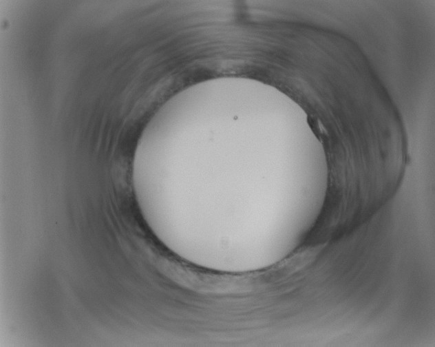 X0000076390044200610271604