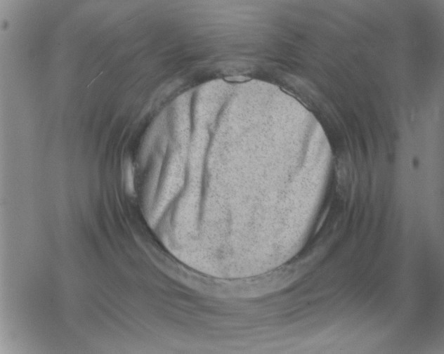 X0000076390046200610271604