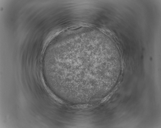 X0000076390049200610271603