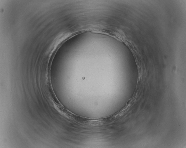 X0000076390050200610271603