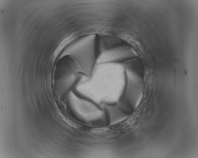 X0000076390051200610271603