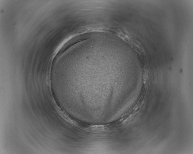 X0000076390052200610271603