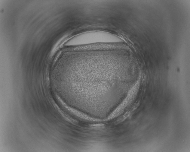 X0000076390053200610271603