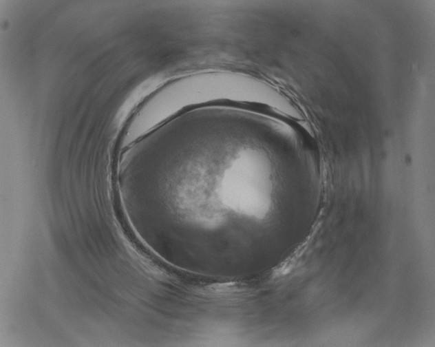 X0000076390054200610271603