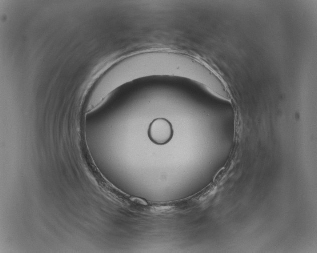 X0000076390055200610271603