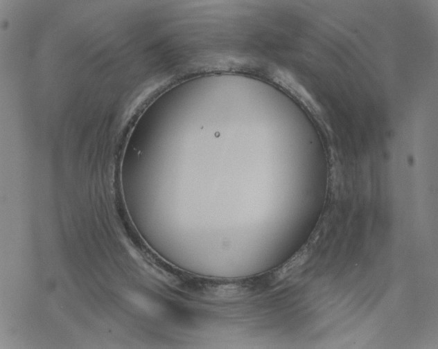 X0000076390058200610271603