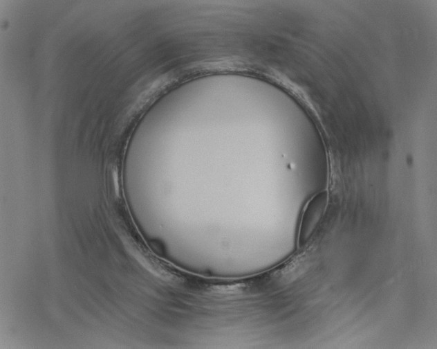 X0000076390061200610271603