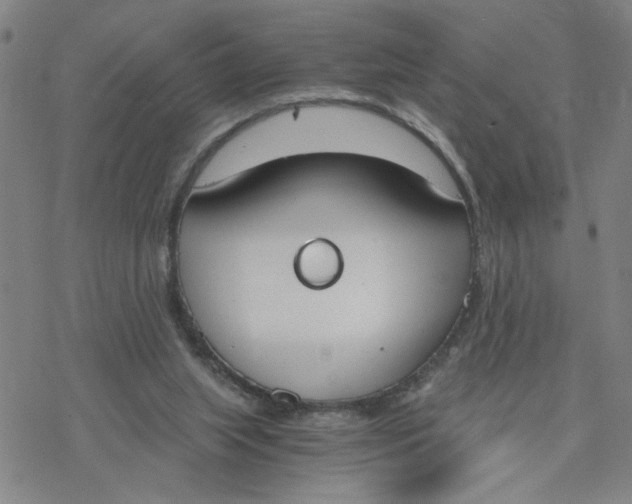 X0000076390063200610271603