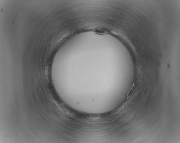 X0000076390066200610271603