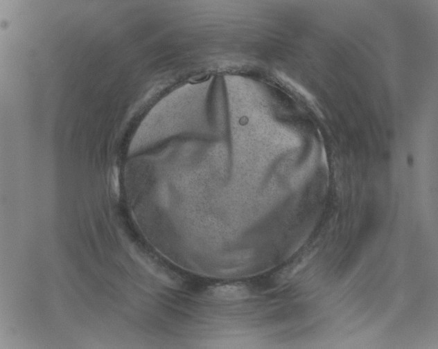 X0000076390067200610271603