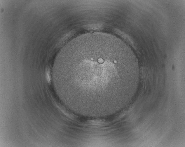 X0000076390069200610271603