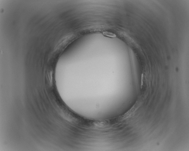 X0000076390070200610271603