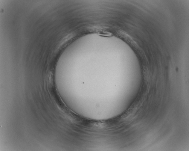 X0000076390071200610271603