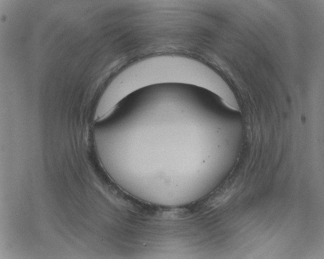 X0000076390072200610271603