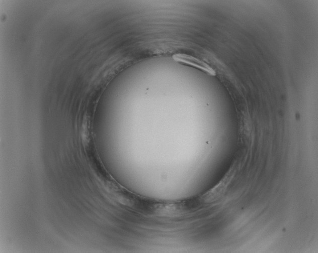 X0000076390074200610271603