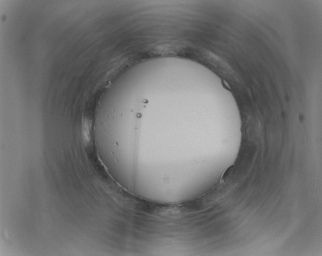 X0000076390075200610271603