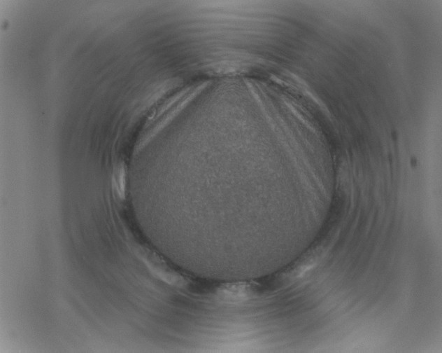 X0000076390076200610271603