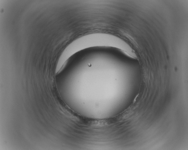 X0000076390077200610271603