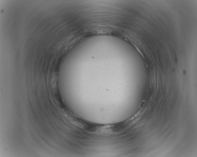 X0000076390078200610271603