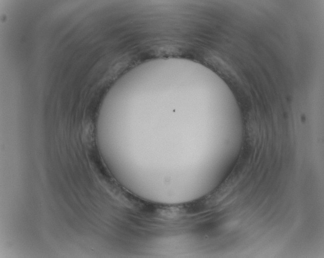 X0000076390079200610271603