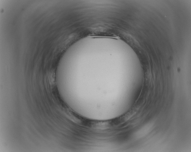 X0000076390081200610271603