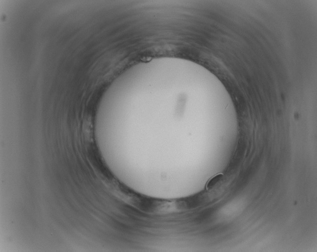 X0000076390083200610271603