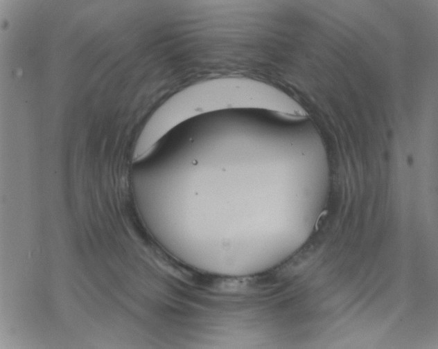 X0000076390084200610271603