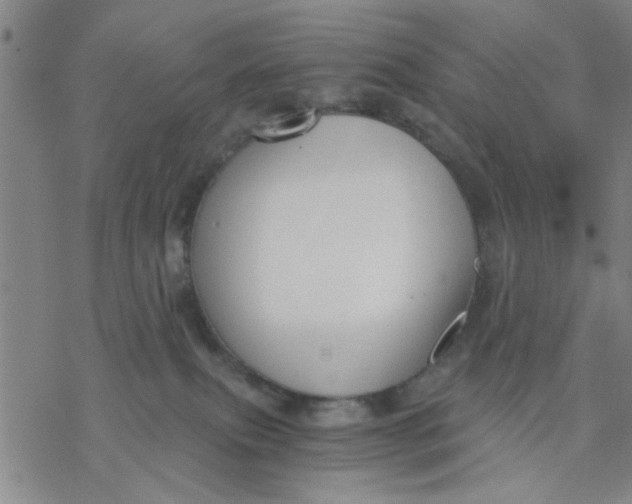 X0000076390087200610271603