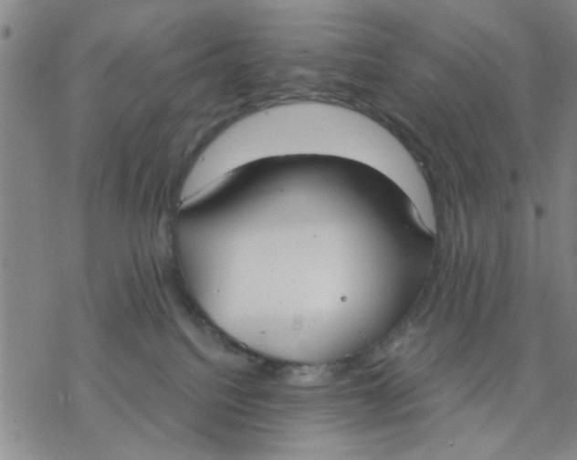 X0000076390088200610271603