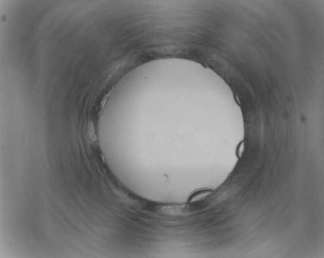 X0000076390089200610271603