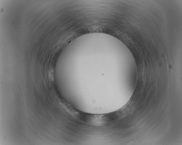 X0000076390090200610271603