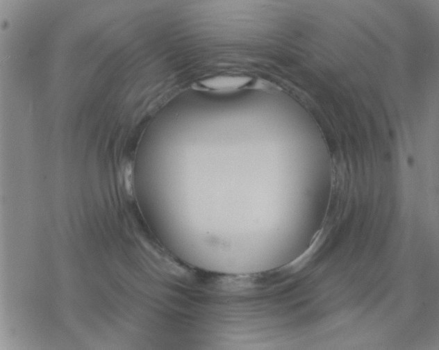 X0000076390094200610271604